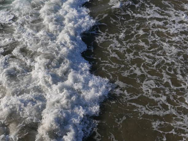 istock Southern California Ocean Tides 1182767557