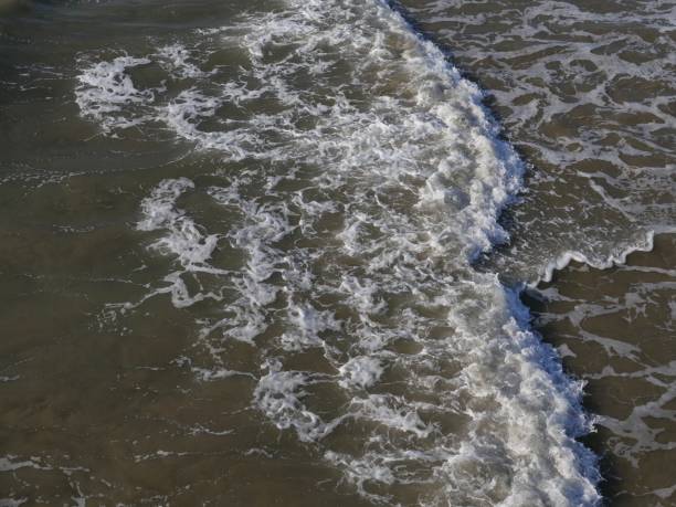 istock Southern California Ocean Tides 1182767582