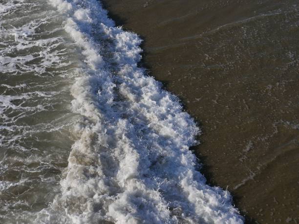 istock Southern California Ocean Tides 1182767613