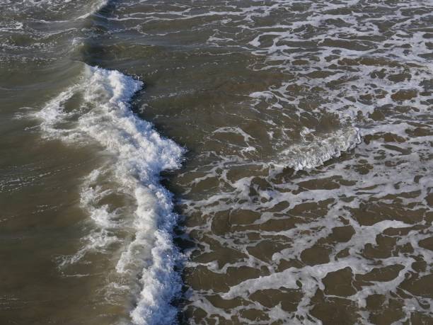 istock Southern California Ocean Tides 1182767625