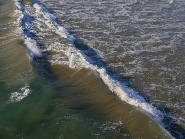 istock Southern California Ocean Tides 1182767652