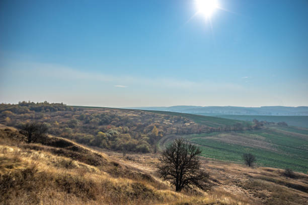 istock Green fields in autumn in Ukraine 1182769421