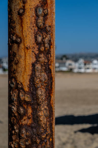istock Rusty Telephone Pole On Newport Beach - Background With Copy Space 1182772105