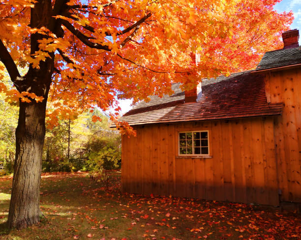 istock Autumn at the village 1182772130