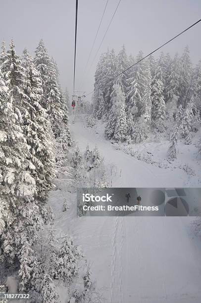 Trilho De Neve - Fotografias de stock e mais imagens de Abeto - Abeto, Alpes Europeus, Alpes suíços