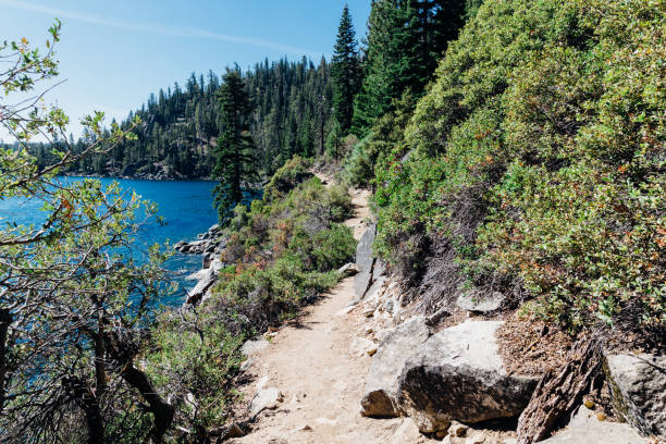 istock Views along Lake Tahoe's Rubicon trail 1182774321