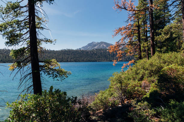 istock Views along Lake Tahoe's Rubicon trail 1182774886