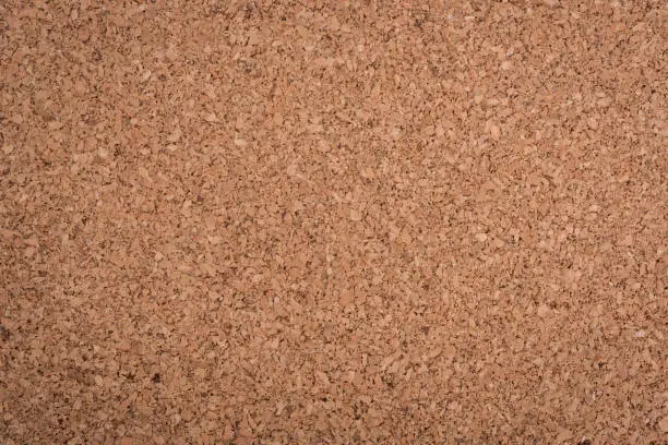 Photo of Close up blank cork wooden board