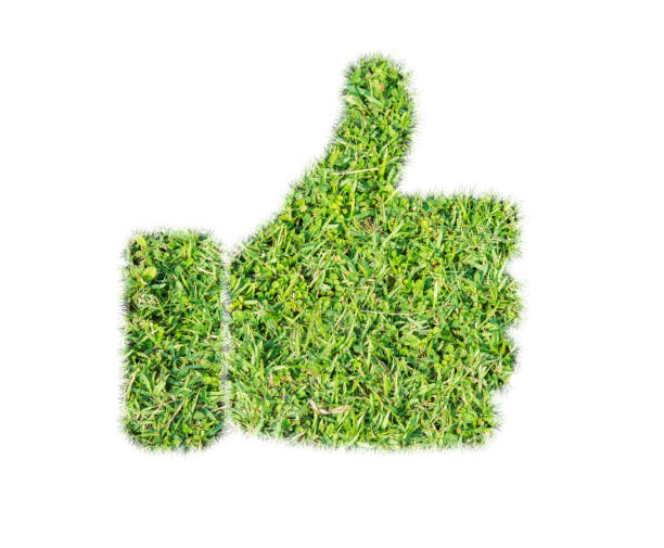 istock Green grass thumbs up icon 1182779814