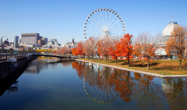 istock Autumn in old Montreal 1182785933