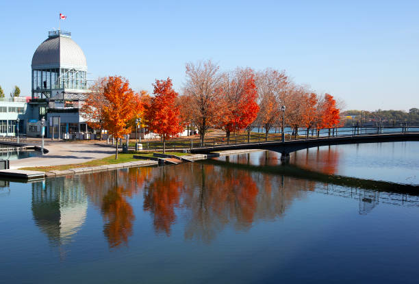 istock Autumn in old Montreal 1182786126