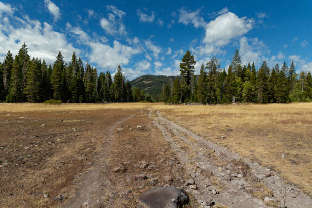 istock Paige meadows, Lake Tahoe 1182789531