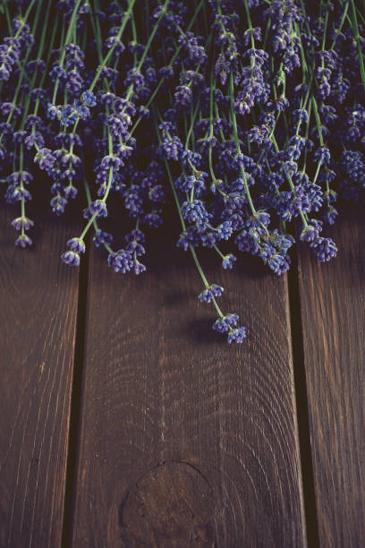 istock Lavender on wood 1182789599
