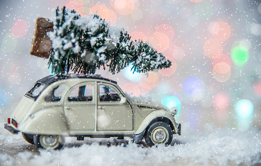 Miniature old fashion car with fir tree