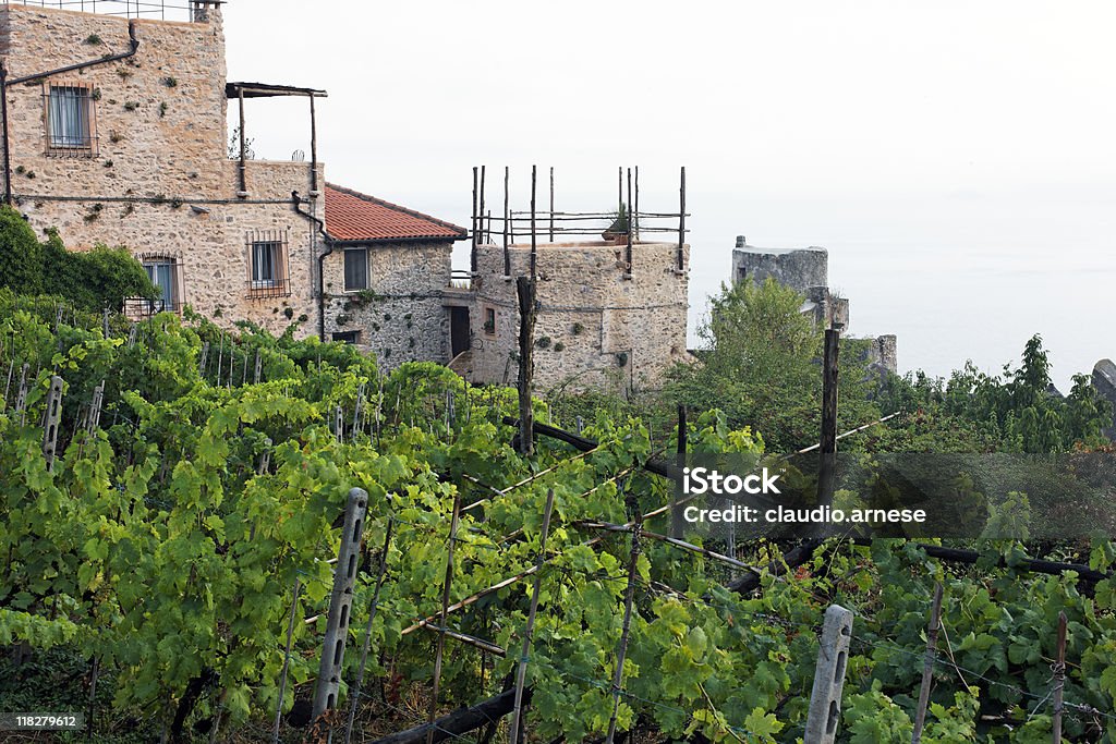 Regione del Chianti. Immagine a colori - Foto stock royalty-free di Agricoltura