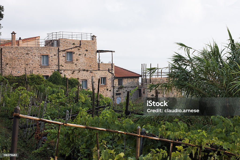 Regione del Chianti. Immagine a colori - Foto stock royalty-free di Paesaggio