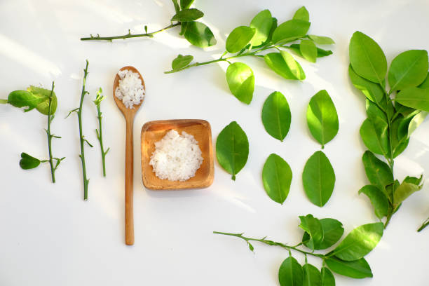 istock Top view green lime leaves with thorn on branch on white background 1182797135