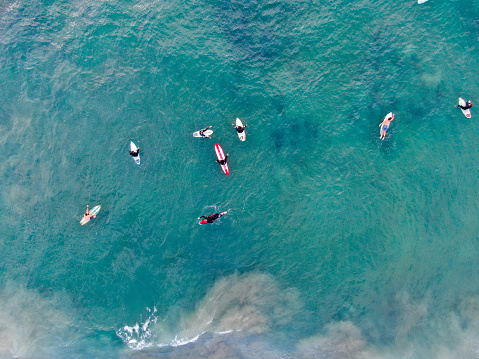 Aerial top view of surfers waiting the waves in blue water. Del Mar Beach, California, USA