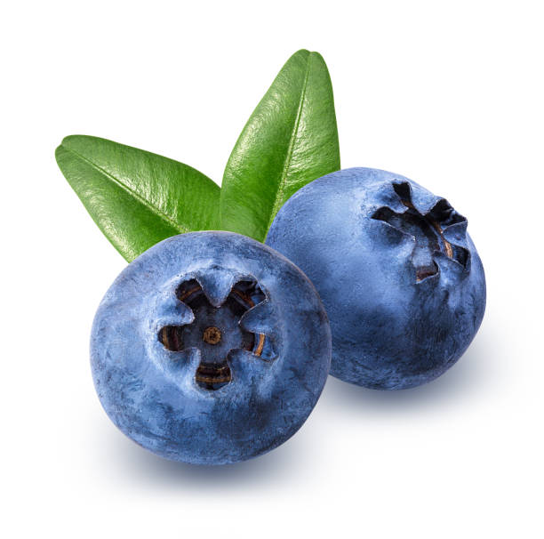 istock Blueberry with leaf isolated on white background with clipping path 1182799069
