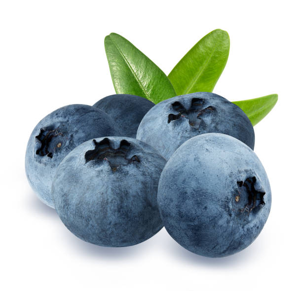 istock Blueberry with leaf isolated on white background with clipping path 1182799255