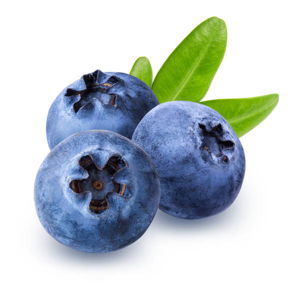 클리핑 경로가있는 흰색 배경에 잎이 분리 된 블루 베리 - blueberry 뉴스 사진 이미지