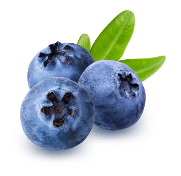 Photo of Blueberry with leaf isolated on white background with clipping path