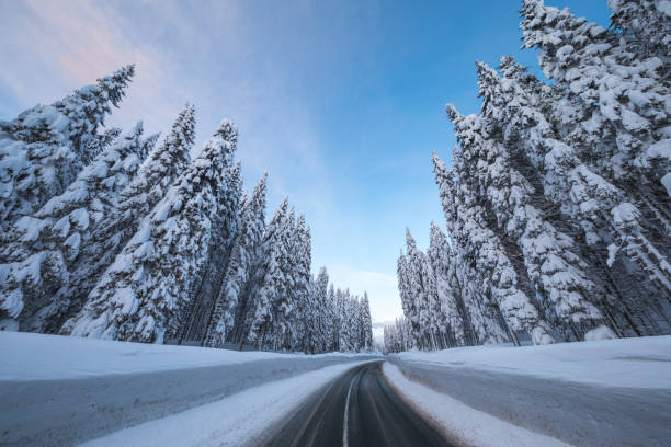 istock Mountain Road In Winter 1182800405