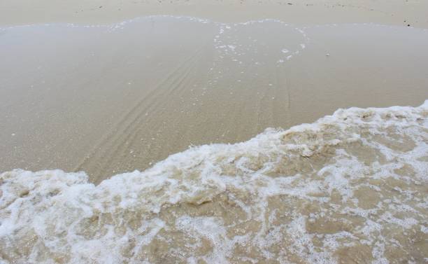 istock Abstract background. Sea waves with bubbles hits the sand beach wallpaper 1182801369