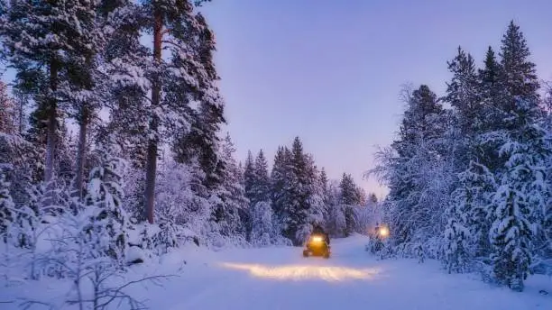 At the blue hour, a snowmobile drives through the snow. Snowy landscape with conifers.