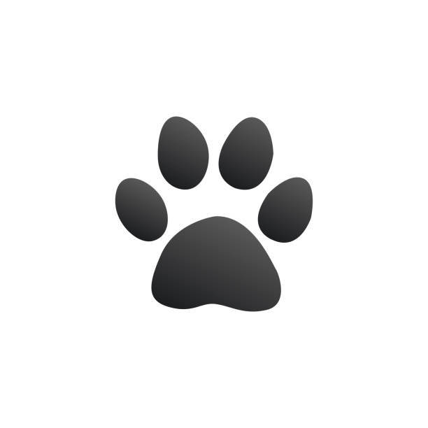 istock Paw print, animal footprint, pat icon. Stock Vector illustration isolated on white background. 1182803727