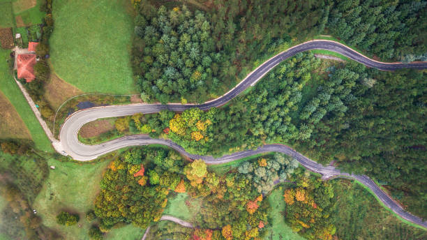 istock amazing view of curvy road crossing a forest 1182806128