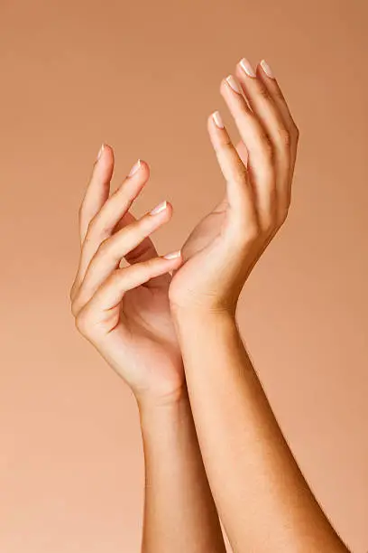 Woman hands(French manicured nails) on a brown background
