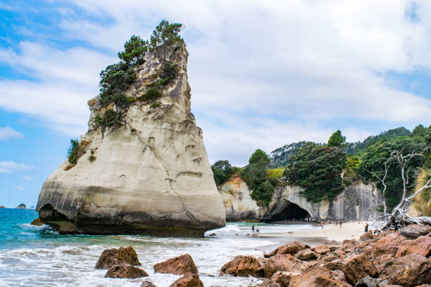 formación de rocas en cathedral cove - nueva zelanda - new zealand cathedral cove sea sand fotografías e imágenes de stock