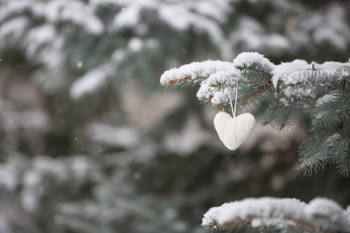 Closeup of knitted heart Christmas decoration on a Christmas tree with snow outdoors. Celebration, winter and holidays concept