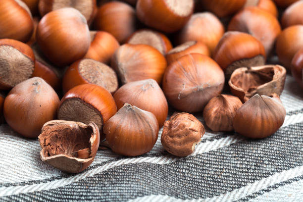 istock close up of hazelnuts on table - Image 1182815131