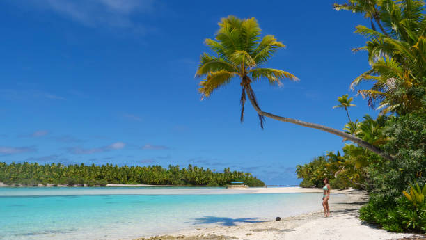 istock COPY SPACE: Young woman stands under the crooked palm tree stretching over beach 1182816768