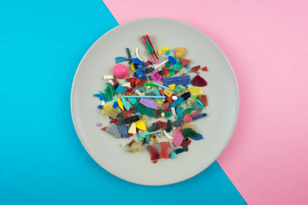 istock Plate full of micro plastics. 1182818354