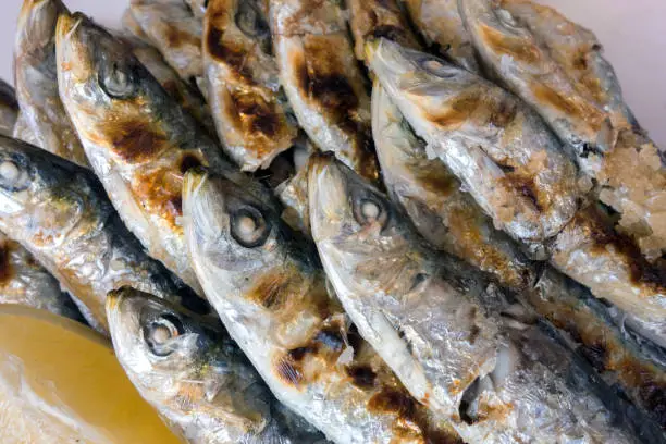 Photo of Grilled sardines fish on a plate.