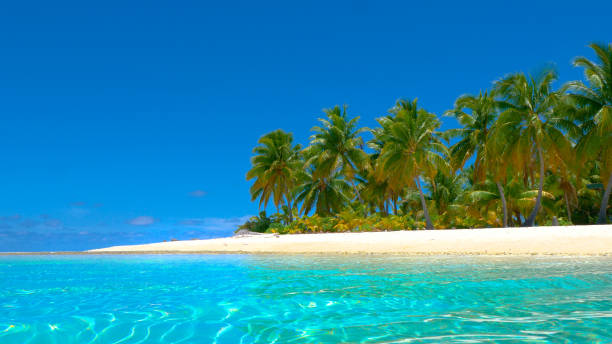 istock COPY SPACE: Gentle glassy ocean waves roll past the pristine paradise beach. 1182818618