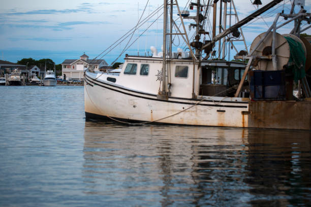 istock An old white fishing trawler docked in a small Cape Cod Harbor 1182818690