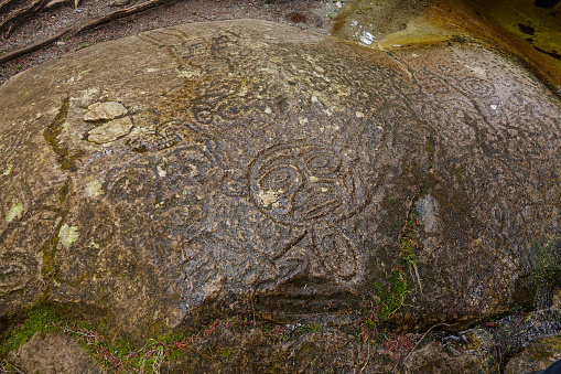 CLOSE UP: Cool petroglyphs are carved into a large old boulder in a remote Canadian forest. Close up shot of a slick wet rock with detailed historic carvings. Beautifully preserved Native American art