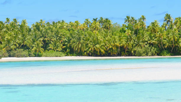 istock COPY SPACE: Gentle waves roll towards the stunning untouched white sand beach. 1182818975