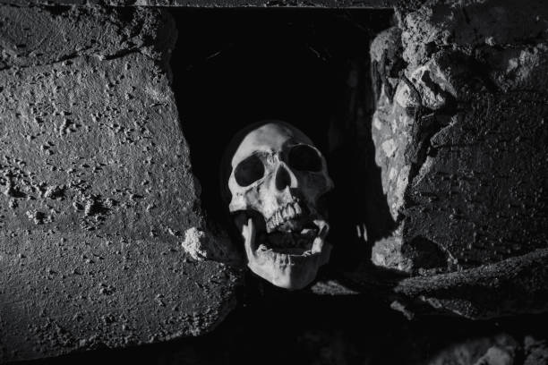 istock The skull in the dark basement is illuminated by harsh light. 1182819511