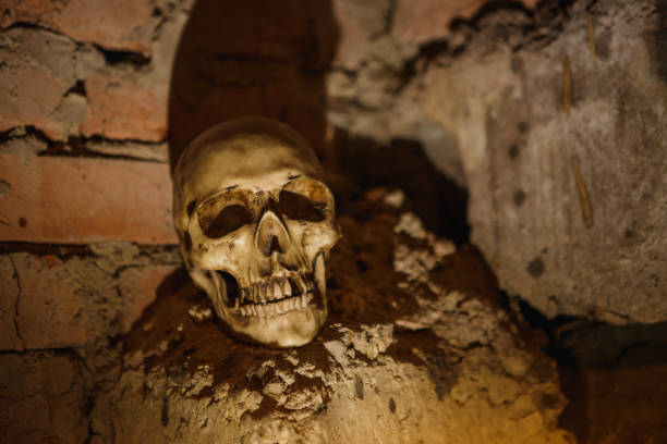 istock The skull in the dark basement is illuminated by harsh light. 1182819524