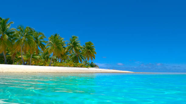 istock COPY SPACE: Crystal clear ocean water rolls past the beautiful white sand shore. 1182820237