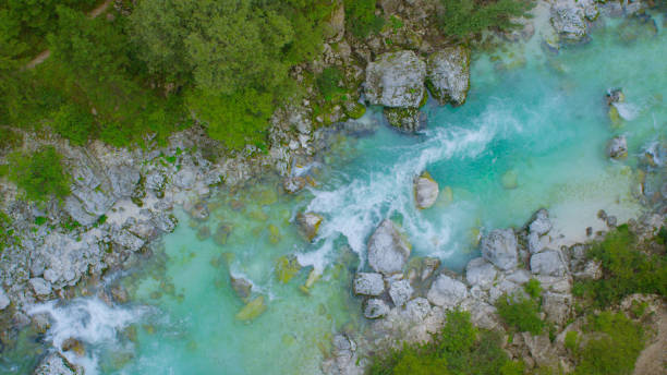 istock TOP DOWN: Breathtaking mountain stream rushing through the lush green forest. 1182820341
