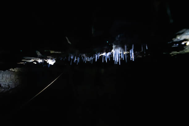 Exploring Waitomo Glowworm Caves, Waikato, New Zealand Exploring Waitomo Glowworm Caves, Waikato, New Zealand . waitomo caves stock pictures, royalty-free photos & images