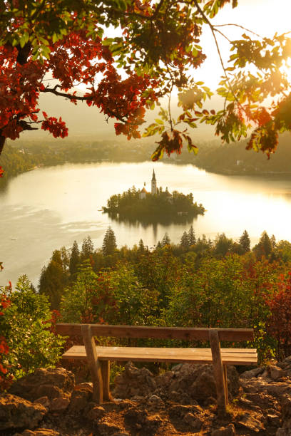 istock CLOSE UP: Lonely bench overlooking stunning lake Bled on a calm summer evening. 1182820781