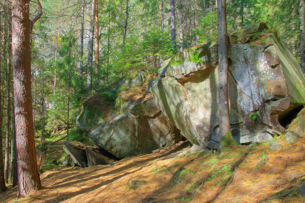 istock Mysterious rocks in an old pine forest. 1182822454