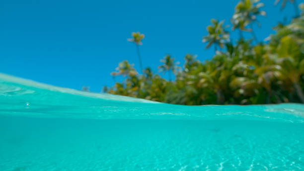 istock HALF UNDERWATER: Idyllic exotic island is surrounded by tranquil turquoise water 1182822471